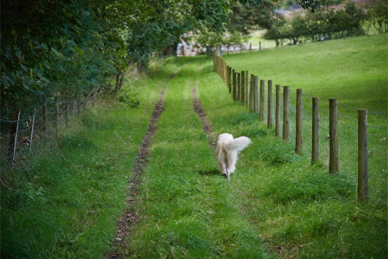 Newlands Farm Stables Villa เคนดัล ภายนอก รูปภาพ