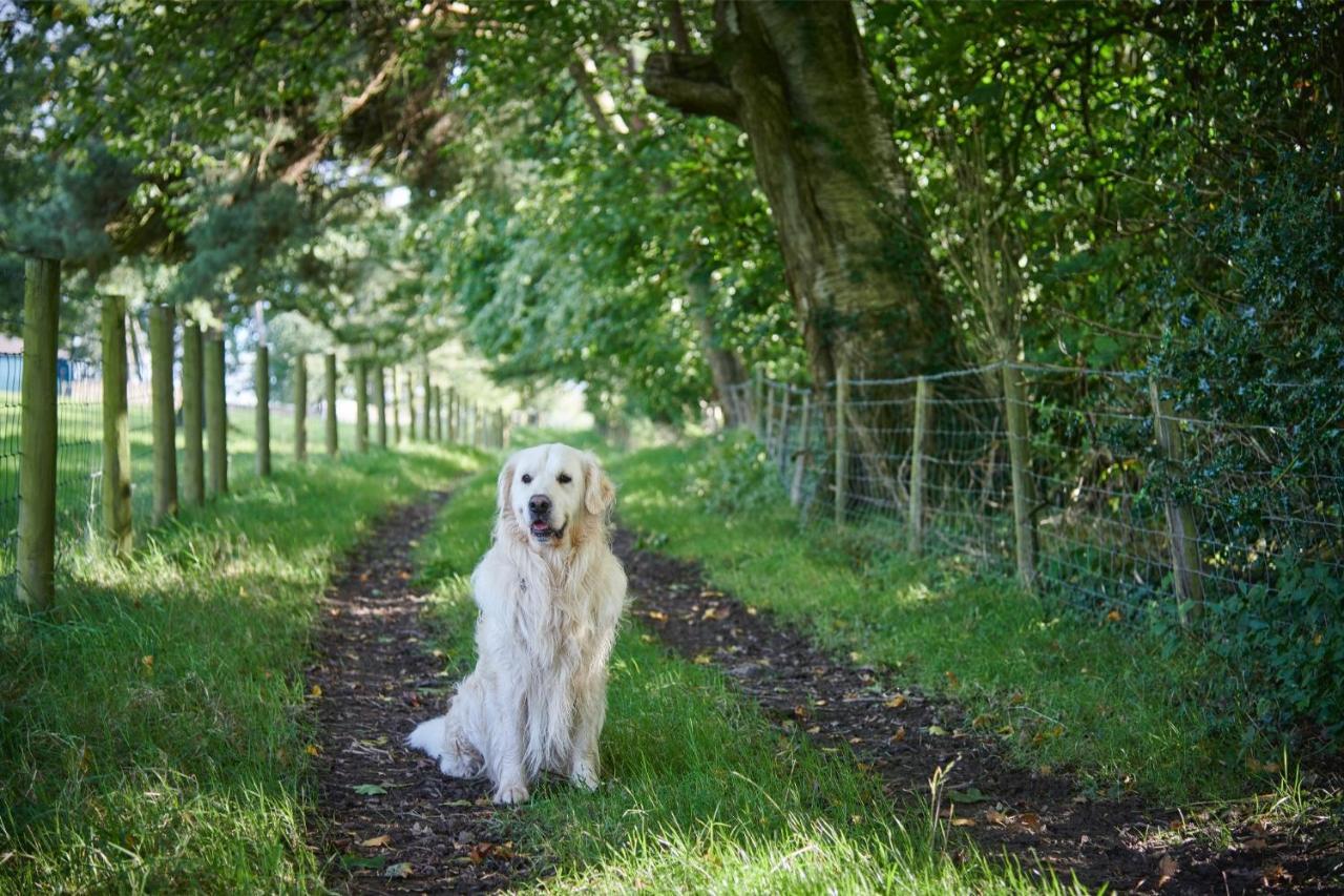 Newlands Farm Stables Villa เคนดัล ภายนอก รูปภาพ